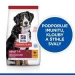 Hill's SP Canine Adult Large Breed chicken 18 kg New 604308