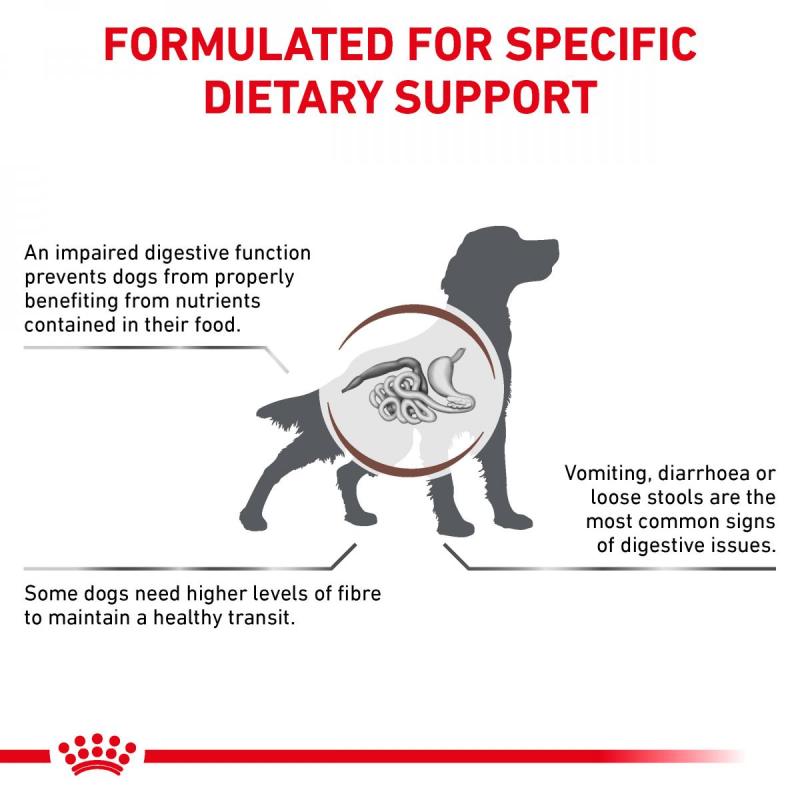 RC VHN DOG FIBRE RESPONSE 2KG