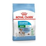 RC SHN MINI STARTER MOTHER&BABYDOG 4 kg