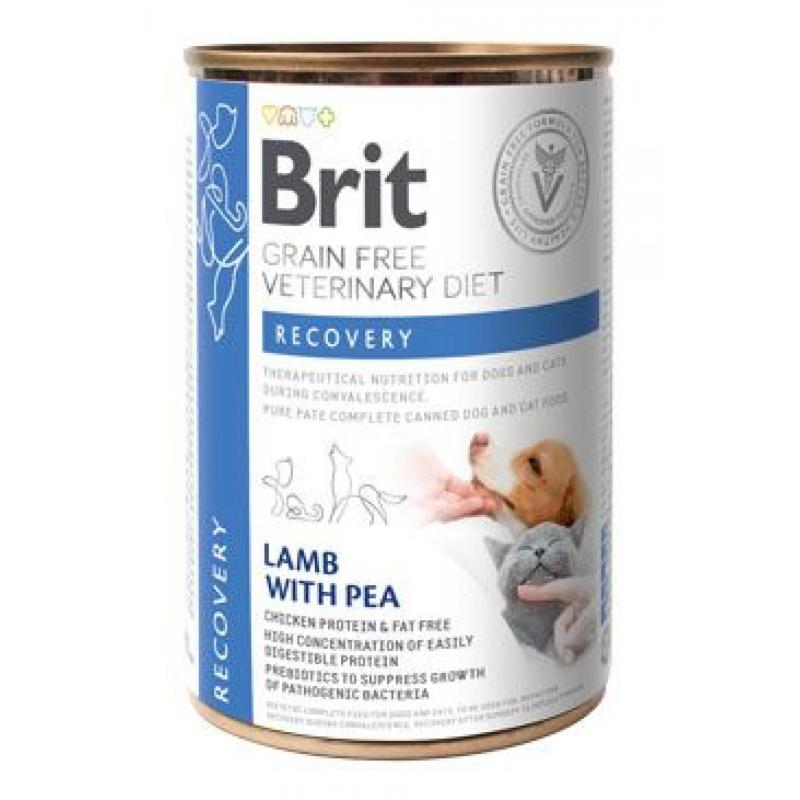 Brit VD Dog+Cat konz. Recovery 400g